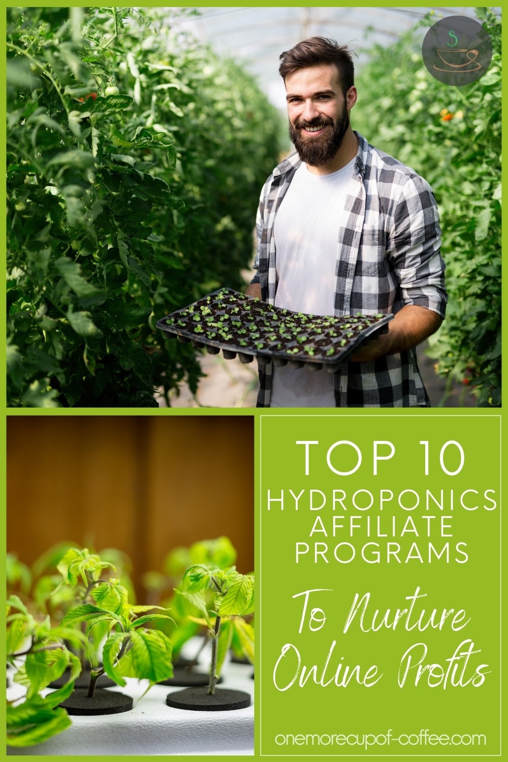 photo collage of a man in his garden  showing his plants, and plants being grown in hydroponics system