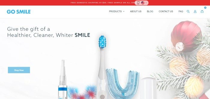 This screenshot of the home page for Go Smile has a red header, a white navigation bar, and a white main section with black text and a blue call to action on the left side of the page, with a photo of whitening tools in the center of the page and Christmas decorations on the far right side of the page.