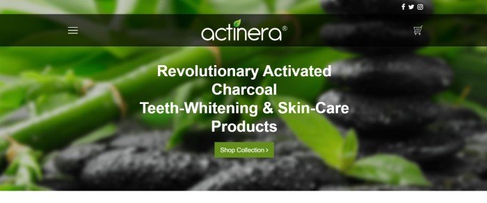 This screenshot of the home page for Actinera has a green bamboo background behind a dark filtered navigation section and white text, along with a green call to action button at the bottom of the page.