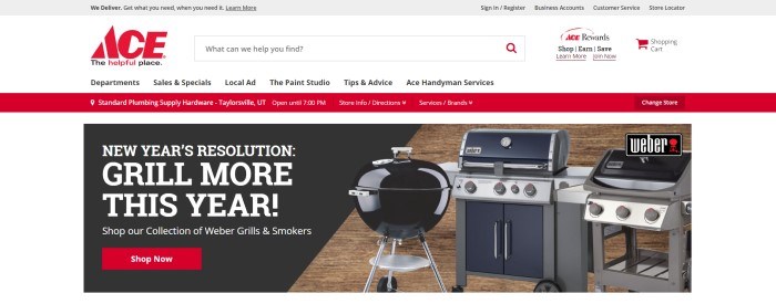 This screenshot of the home page for Ace Hardware has a gray header, a white search bar with a red logo, and white and red navigation bars above a white main section containing a black text section with white text and a red call to action button, as well as several product photos in a row showing a variety of outdoor grills in front of a wooden backdrop.