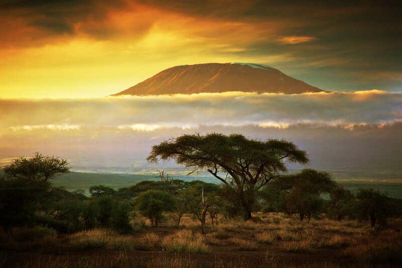 This photo shows a view of Mount Kilimanjaro and the savannah near it at sunset, representing the best African Travel affiliate programs.