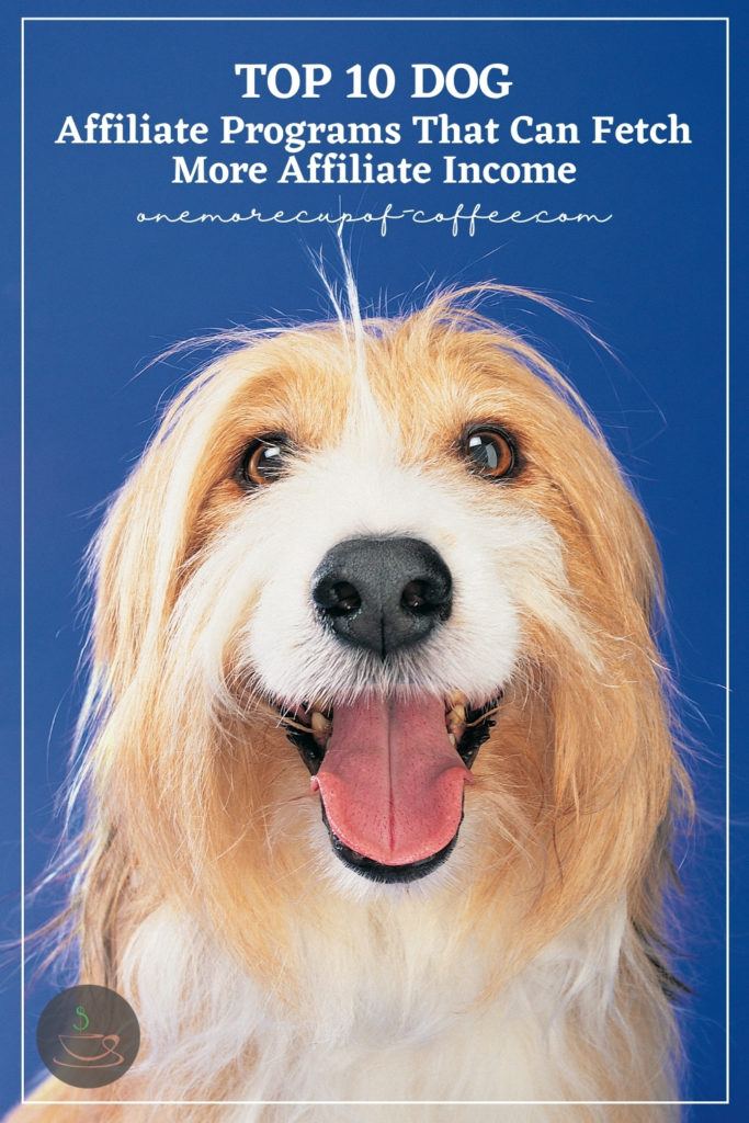 Top 10 Dog Affiliate Programs That Can Fetch More Affiliate