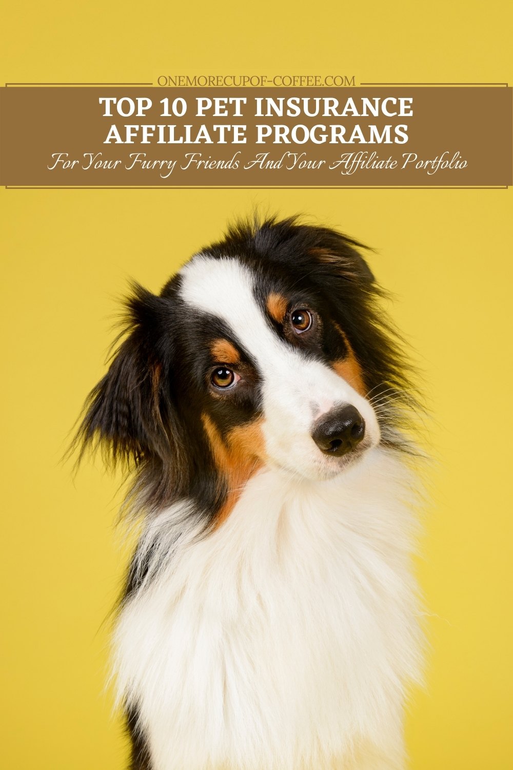 closeup image of a collie dog against a yellow background with text overlay "Top 10 Pet Insurance Affiliate Programs For Your Furry Friends And Your Affiliate Portfolio"