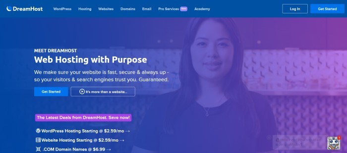 This screenshot of the home page for DreamHost has a blue header and blue filtered photo of a smiling woman behind white text with a blue call to action button and a purple call to action button.