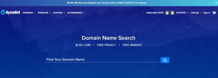 This screenshot of the home page for Dynadot has a blue header and blue-filtered photo of a mountain scene in the main section, along with white text.