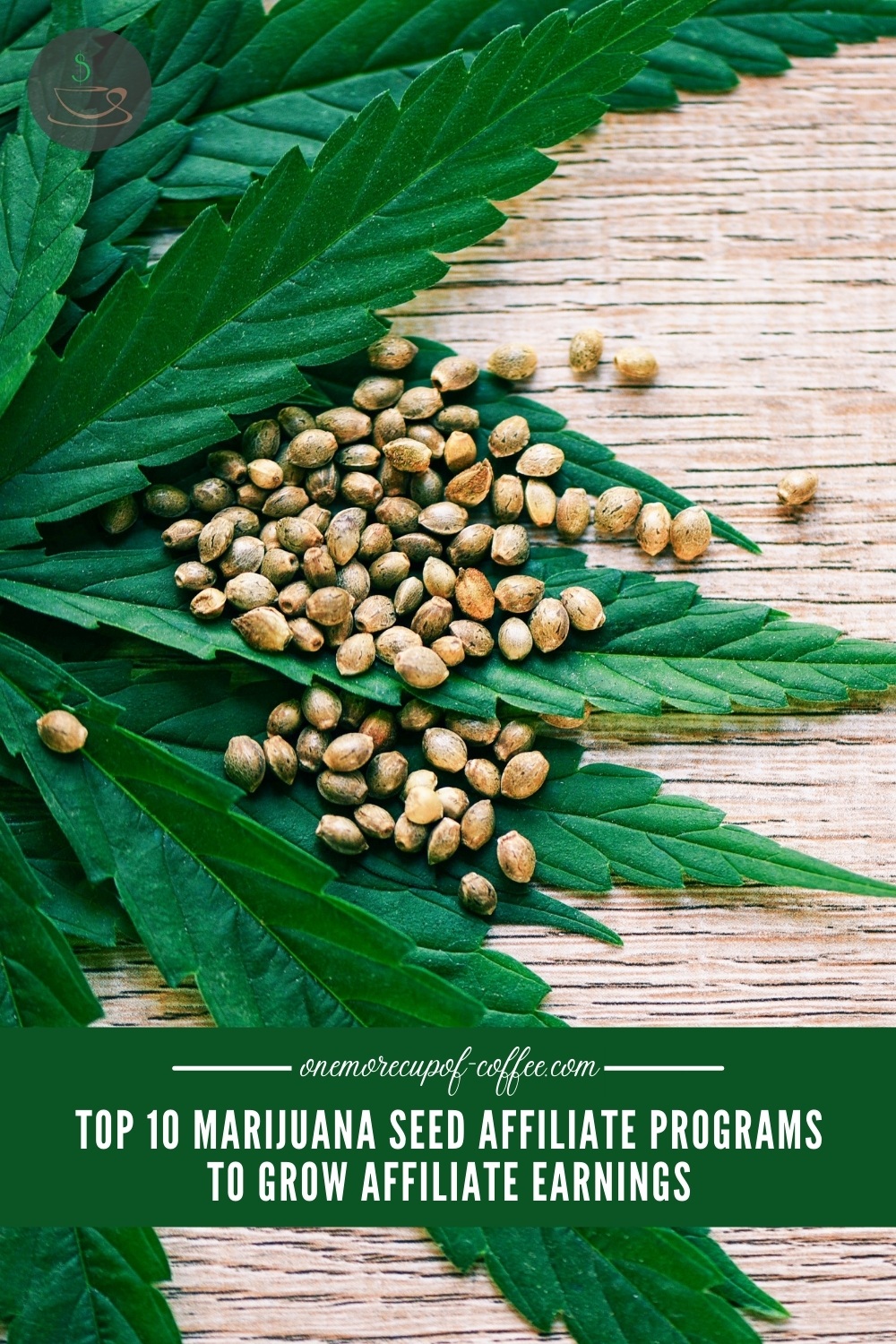 closeup top view image of cannabis seeds on top of cannabis leaves resting on a wooden surface, with text overlay on a green banner "Top 10 Marijuana Seed Affiliate Programs To Grow Affiliate Earnings"