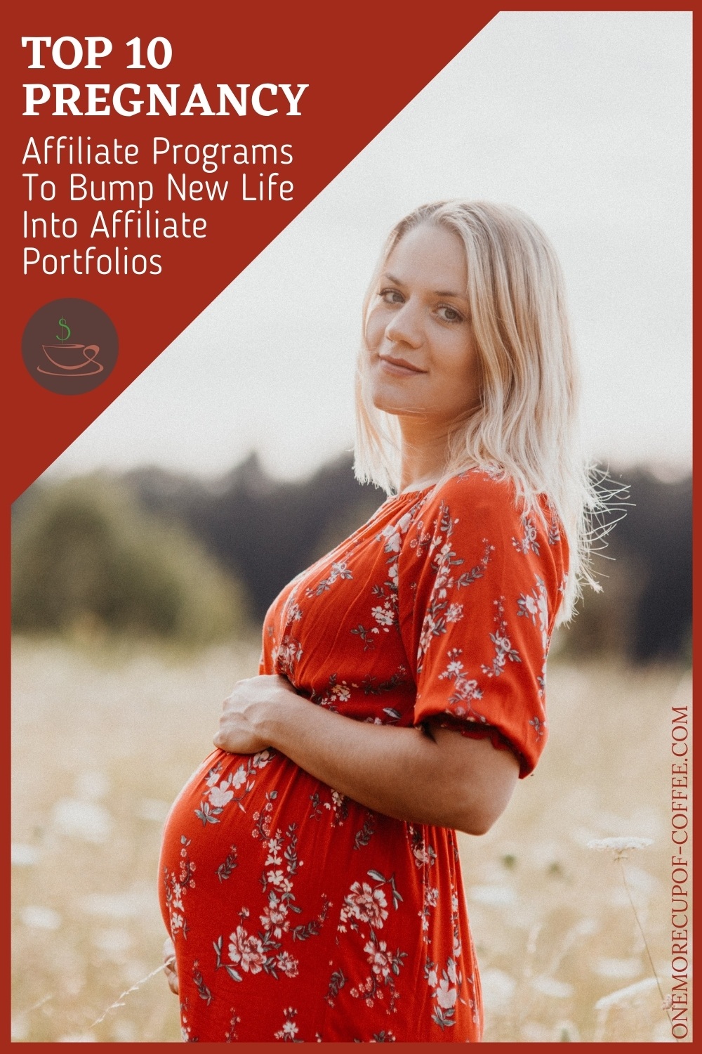 smiling pregnant woman in red dress posing in an open field, with text overlay "Top 10 Pregnancy Affiliate Programs To Bump New Life Into Affiliate Portfolios"