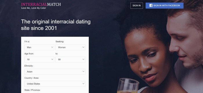 This screenshot of the home page for InterracialMatch has a photo of a white man and a black woman together on the right side of the page, a white option box on the left side of the page, a dark background throughout the page, white text above the opt in box, and a white and maroon logo in the upper left corner, with two sign in buttons in the upper right corner of the page.