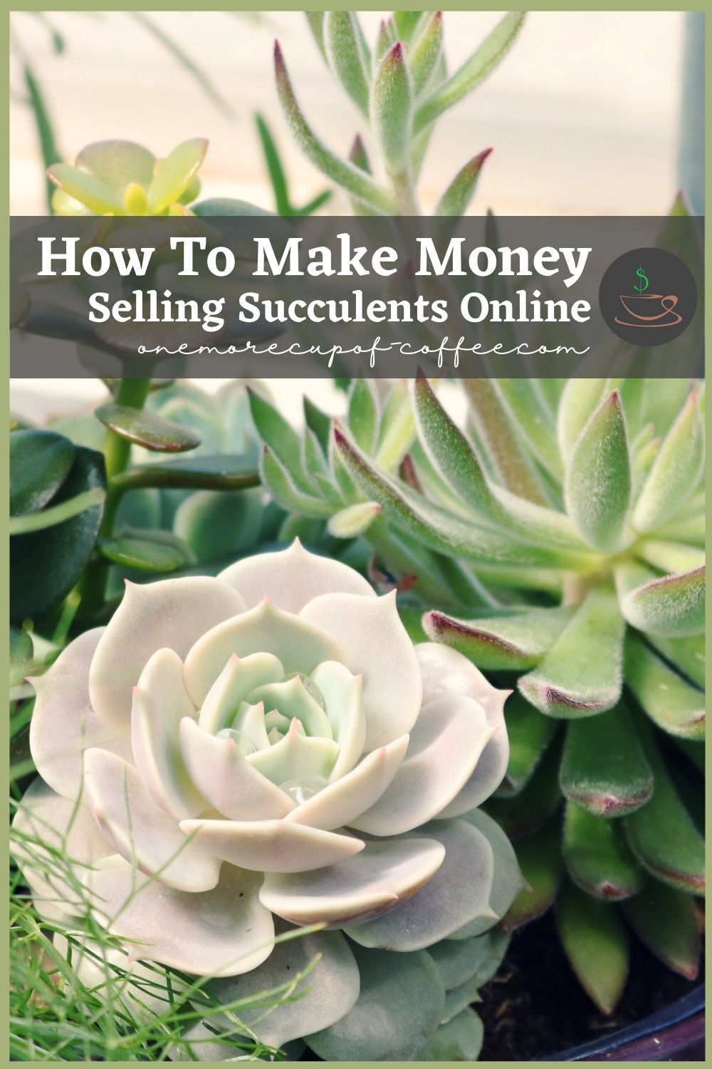 closeup image of different kinds of succulents with text overlay "How To Make Money Selling Succulents Online"