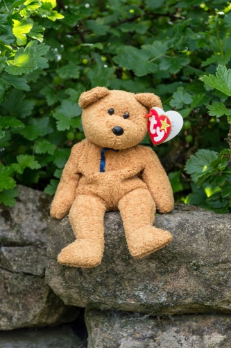 beanie baby bear on rock ledge