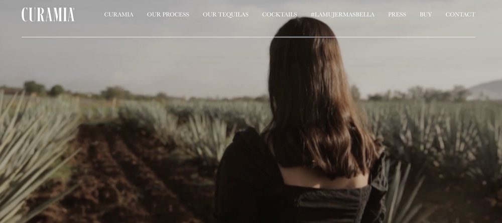 A woman gazes at an agave field.