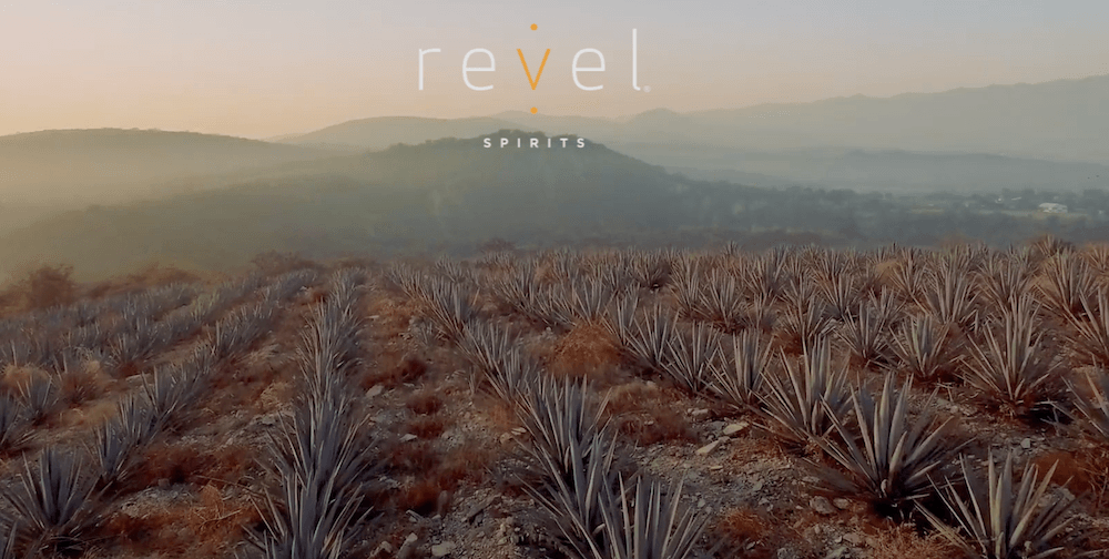 The Revel Spirits logo is superimposed over a field of agave. 