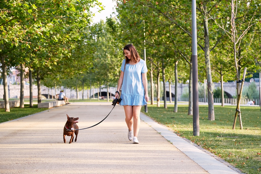 A Woman Walks a Dog for Taskrabbit