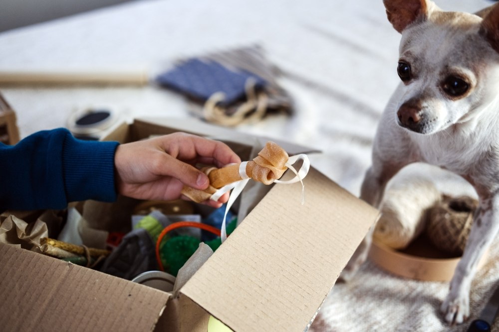 Subscription box with dog treats