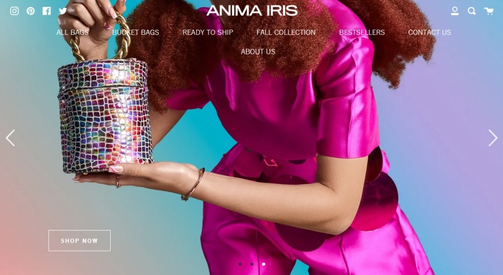 Anima Iris homepage screenshot